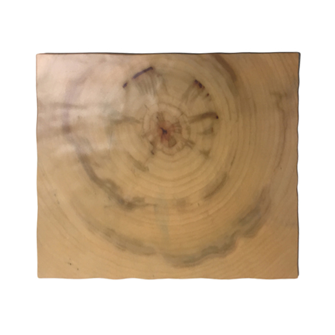 003255743