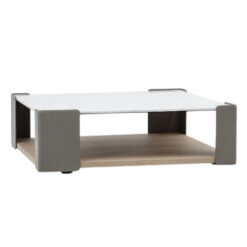 MESA