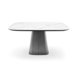 MESA