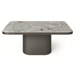 MESA