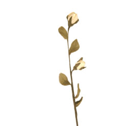 FLOR