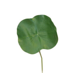 HOJA