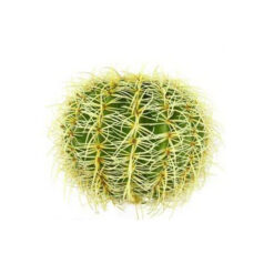 PLANTA