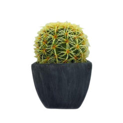 PLANTA