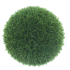 PLANTA