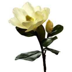 FLOR