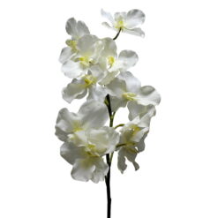 FLOR