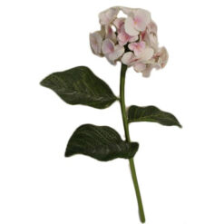 FLOR