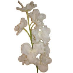 FLOR