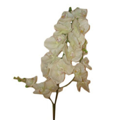 FLOR