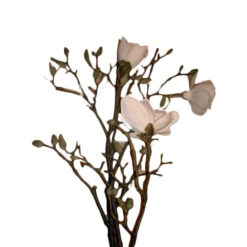 FLOR