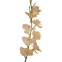 FLOR