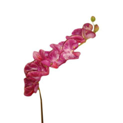FLOR