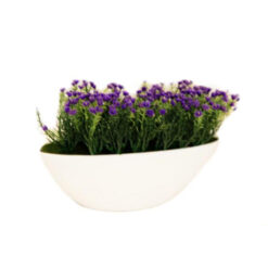 PLANTA