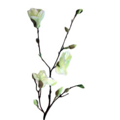 FLOR