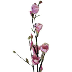FLOR
