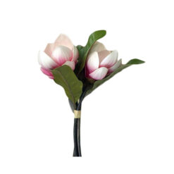 FLOR