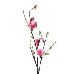FLOR