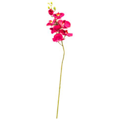 FLOR