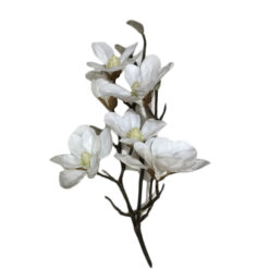 RAMA CON FLOR