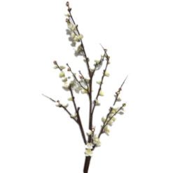 RAMA CON FLOR