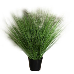 PLANTA