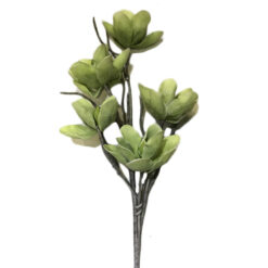 FLOR