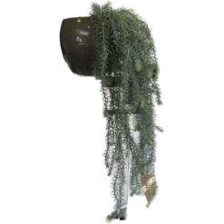 PLANTA