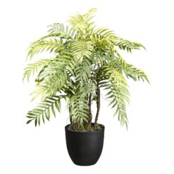 PLANTA