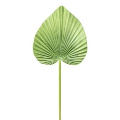 HOJA