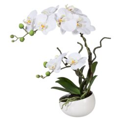 PLANTA