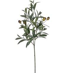 RAMA
