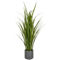 PLANTA