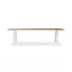 MESA