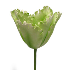 FLOR