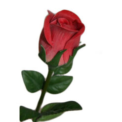 FLOR