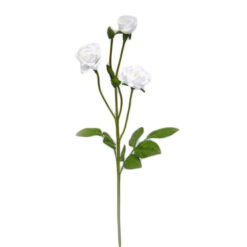 FLOR