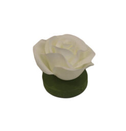 FLOR FLOTANTE