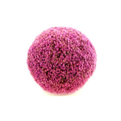 PELOTA