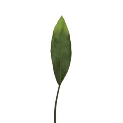 HOJA