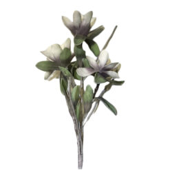 FLOR